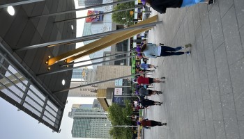 IMG_8037.jpeg