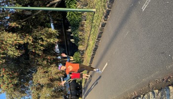 IMG_8097.jpeg