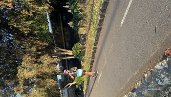 IMG_8087.jpeg